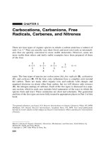 Carbocations, Carbanions, Free Radicals, Carbenes and Nitrenes