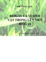 Tiểu luận biogas và vi sinh vật trong lên men biogas