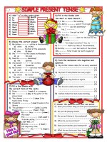 10208 simple present 