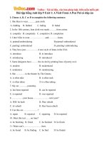 Bài tập tiếng Anh lớp 9 Unit 1: A Visit From A Pen Pal có đáp án