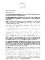 Hiệp định Đối tác xuyên Thái Bình Dương TPP Chương 13 viễn thông