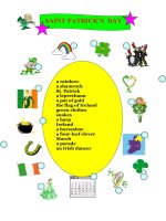 19010 st patricks day  vocabulary 