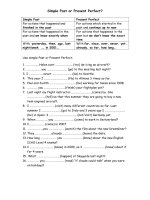 42891 past simple present perfect for aviation 