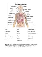 36049 anatomy of the body 