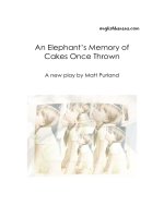 an elephants memory of cakes once thrown oscr2 
