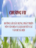 ĐƯỜNG LỐI XÂY DỰNG, PHÁT TRIỂN  NỀN VĂN HÓA VÀ GIẢI QUYẾT CÁC VẤN ĐỀ XÃ HỘI