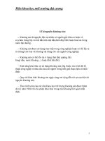 Tiểu luận tài nguyên khoáng sản