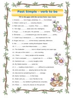 64266 simple past verb to be 