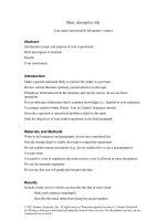 4eLab report template 