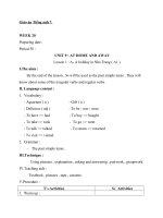 Giáo án Tiếng Anh 7 unit 9: At home and away