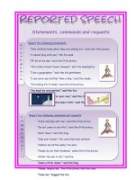 19334 reported statements commands and requests practice 