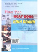 Phân tích hoạt động kinh doanh phạm văn dược 