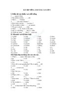 bai tap tieng anh lop 3 hay 0228 