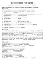REVISION TEST FOR GRADE 6