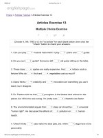 Articles exercise 13 