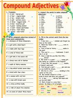53359 compound adjectives 