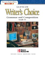 Writers choice grammar and composition grade 11 