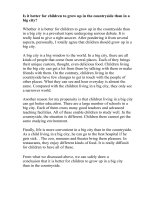 Is it better for children to grow up in the countryside than in a big cit1 