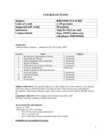 Văn hóa anh  nguyễn thị lan anh 