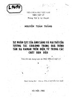 Sự phân cực của ánh sáng và vai trò của tương tác coulomb trong quá trình tán xạ raman trên điện tử trong các chất bán dẫn 