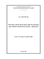 Tiến hóa trầm tích châu thổ ngầm sông hậu trong pleistocen muộn – holoce 