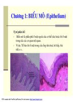 Mô phôi học thủy sản 