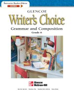 Writers choice grammar and composition grade 6 