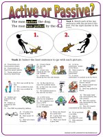 8267 active or passive 4 multiple choice exercises with key in present simple and past simple 