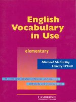 ENGLISH VOCABULARY IN USE ELEMENTARY 