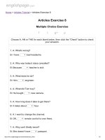 Articles exercise 8 