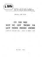 Cỏ dại hại một số cây trồng và quy trình phòng chống 