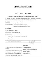 Giáo án Tiếng Anh 8 Unit 3: At home