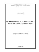 Lý thuyết lượng tử về hiệu ứng hall trong hố lượng tử và siêu mạng 