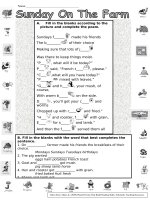 27385 sunday on the farm 