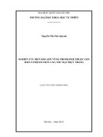 Nghiên cứu biến đổi ADN vùng promoter thuộc gen MMP 9 ở bệnh nhân ung thư đại trực tràng 