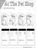 2041 at the pet shop 