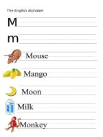 53884 the alphabet  letter m 