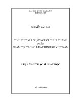 Tình tiết xúi giục người chưa thành niên phạm tội trong luật hình sự việt nam 