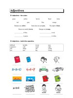 3556 colour adjectives 