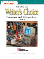 Writers choice grammar and composition grade 9 
