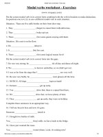 Modal verbs worksheet   exercises 