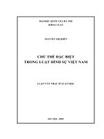 Chủ thể đặc biệt trong luật hình sự việt nam 