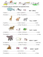 61129 comparison with animal 