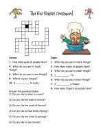12836 the five senses crossword 