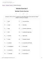 Articles exercise 1 