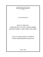 Quản lý nhân lực tại ban quản lý các dự án nông nghiệp, bộ nông nghiệp và phát triển nông thôn 