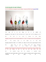 Sự hòa hợp giữa chủ ngữ và động từ 