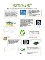 40543 environment  vocabulary study  