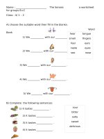 23098 the five senses 