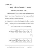 KĨ THUẬT ĐIỀU CHẾ VÀ XỬ LÍ TÍN HIỆU TRONG CÔNG NGHỆ ADSL